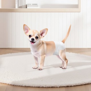 VEVOR Πάνες Μίας Χρήσης Υπερ-Απορροφητικές για Θηλυκά Σκυλάκια XS 1... VEVOR Πάνες Μίας Χρήσης Υπερ-Απορροφητικές για Θηλυκά Σκυλάκια XS 1...