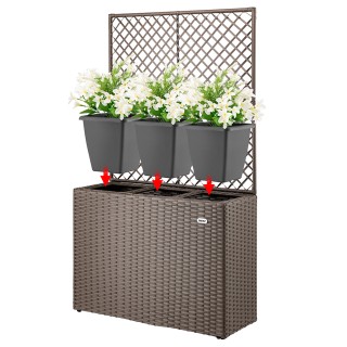 BAKAJI Καφέ Πολυρατάν Πέργκολα με 3 Γλάστρες για Εξωτερικό Χώρο 028...