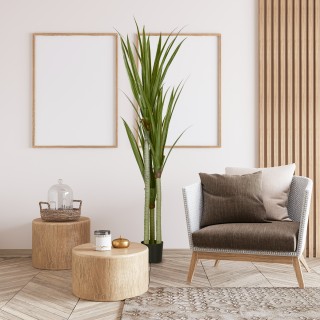 HOMCOM Τεχνητό Φυτό Γιούκα 190 εκ με 39 Φύλλα σε Γλάστρα από PEVA κ... HOMCOM Τεχνητό Φυτό Γιούκα 190 εκ με 39 Φύλλα σε Γλάστρα από PEVA κ...