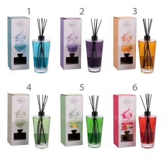 Galileo Διαχύτης χώρου 500 ml σε γυαλί με 6 ραβδιά από πολυεστέρα R...