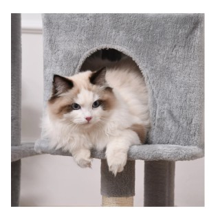 Δέντρο Γάτας - Ονυχοδρόμιο 60 x 50 x 165 cm PawHut D30-350 Δέντρο Γάτας - Ονυχοδρόμιο 60 x 50 x 165 cm PawHut D30-350