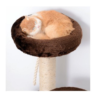 Δέντρο Γάτας - Ονυχοδρόμιο 40 x 65 cm Χρώματος Καφέ PawHut D30-202BN Δέντρο Γάτας - Ονυχοδρόμιο 40 x 65 cm Χρώματος Καφέ PawHut D30-202BN