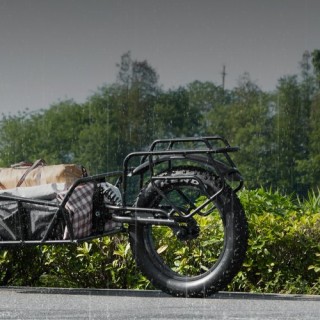 VEVOR Τρέιλερ Ποδηλάτου, Φορτίο 70 lbs, Ανθεκτικό Καρότσι, Γρήγορη ... VEVOR Τρέιλερ Ποδηλάτου, Φορτίο 70 lbs, Ανθεκτικό Καρότσι, Γρήγορη ...