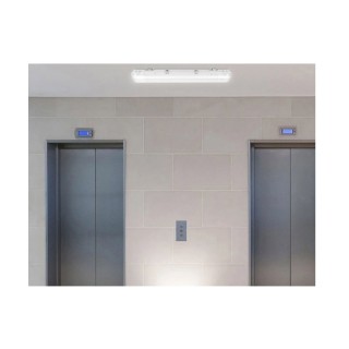 Διπλό Φωτιστικό Φθορίου Οροφής Σκαφάκι 120 cm IP65 με 2 Λαμπτήρες L... Διπλό Φωτιστικό Φθορίου Οροφής Σκαφάκι 120 cm IP65 με 2 Λαμπτήρες L...