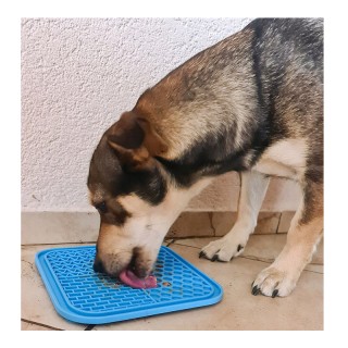 Δίσκος Γλειψίματος για Ανήσυχους Σκύλους 20 x 20 x 0.6 cm Purlov 19378 Δίσκος Γλειψίματος για Ανήσυχους Σκύλους 20 x 20 x 0.6 cm Purlov 19378