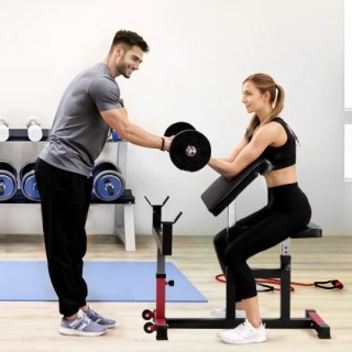 VEVOR Ρυθμιζόμενος Πάγκος Κάμψεων Δικεφάλων για Οικιακό Γυμναστήριο... VEVOR Ρυθμιζόμενος Πάγκος Κάμψεων Δικεφάλων για Οικιακό Γυμναστήριο...