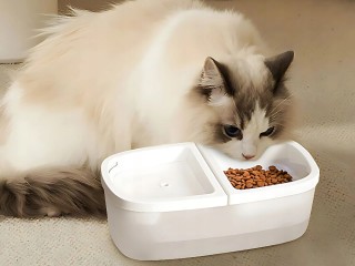 Verk Group Αυτόματη Ταΐστρα και Συντριβάνι Νερού για Σκύλους και Γά...