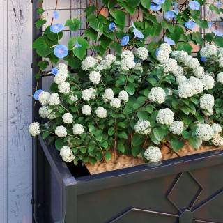 Outsunny Υπερυψωμένο Κρεβάτι Κήπου με Πέργκολα για Αναρριχώμενα Φυ... Outsunny Υπερυψωμένο Κρεβάτι Κήπου με Πέργκολα για Αναρριχώμενα Φυ...