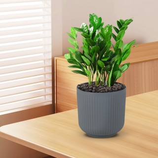 Costway Διακοσμητικές Γλάστρες με Οπές Αποστράγγισης - Γκρι (Σετ 2 ... Costway Διακοσμητικές Γλάστρες με Οπές Αποστράγγισης - Γκρι (Σετ 2 ...