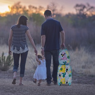 Costway Σετ Παιδική Αποσκευή 2 τεμαχίων με Φλαμίνγκο - Βαλίτσα & Σα...