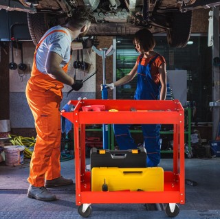 Καρότσι Μεταφοράς με Χερούλι από Ανθεκτικό Μεταλλικό Πλαίσιο - Κόκκ...