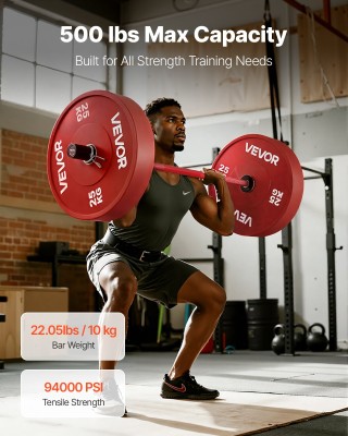 VEVOR 120 εκ Μπάρα Ολυμπιακού Τύπου, 500 lbs Αντοχή, Κατάλληλη για ... VEVOR 120 εκ Μπάρα Ολυμπιακού Τύπου, 500 lbs Αντοχή, Κατάλληλη για ...