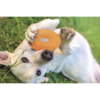 Galileo Λαστιχένιο Παιχνίδι για Κατοικίδια Δαχτυλίδι TPR 12 εκ. Dup...