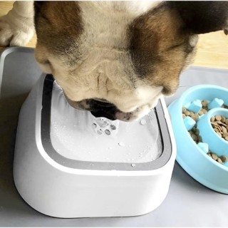 Purlov Μπολ Φαγητού & Νερού για Σκύλο από Πλαστικό ABS 1500ml Purlov Μπολ Φαγητού & Νερού για Σκύλο από Πλαστικό ABS 1500ml