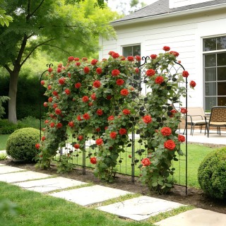 VEVOR Κηποστήριγμα Αναρρίχησης για Τριανταφυλλιές και Φυτά 180 x 52...