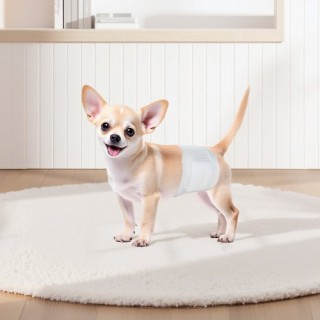 VEVOR Πολύ Απορροφητικές Πάνες για Αρσενικούς Σκύλους XS 144 τεμάχι... VEVOR Πολύ Απορροφητικές Πάνες για Αρσενικούς Σκύλους XS 144 τεμάχι...