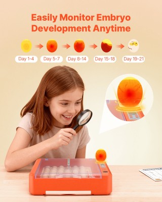 VEVOR Αυγοεκκολαπτήριο 36 Αυγών με Αυτόματη Περιστροφή & LED Ανιχνε...