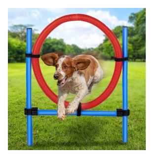 Εκπαιδευτικό Σετ Σκύλου 7 τμχ Bakaji 02838919 Εκπαιδευτικό Σετ Σκύλου 7 τμχ Bakaji 02838919