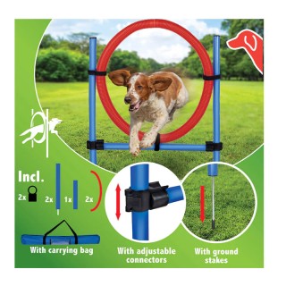Εκπαιδευτικό Σετ Σκύλου 7 τμχ Bakaji 02838919 Εκπαιδευτικό Σετ Σκύλου 7 τμχ Bakaji 02838919