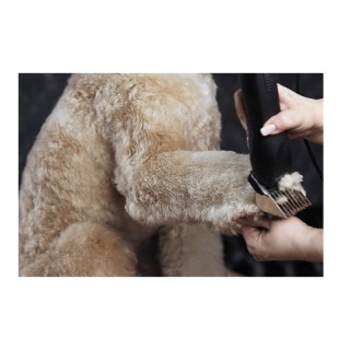 Επαγγελματική Κουρευτική Μηχανή Ρεύματος για Κατοικίδια Moser Max 5...