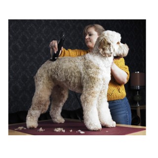 Επαγγελματική Κουρευτική Μηχανή Ρεύματος για Κατοικίδια Moser Max 5... Επαγγελματική Κουρευτική Μηχανή Ρεύματος για Κατοικίδια Moser Max 5...