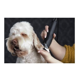 Επαγγελματική Κουρευτική Μηχανή Ρεύματος για Κατοικίδια Moser Max 5... Επαγγελματική Κουρευτική Μηχανή Ρεύματος για Κατοικίδια Moser Max 5...