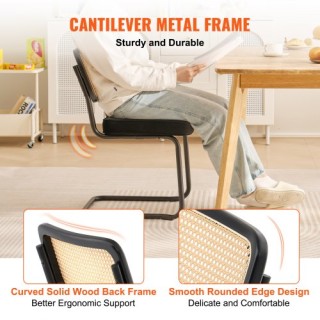 VEVOR Σετ 2 τμχ  Καρέκλες Τραπεζαρίας με Βελούδινη Επένδυση και Rat...