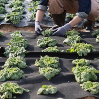 VEVOR Υφασμάτινο Γεωύφασμα 10x100FT 8OZ για Δρόμους & Αποστραγγίσει... VEVOR Υφασμάτινο Γεωύφασμα 10x100FT 8OZ για Δρόμους & Αποστραγγίσει...