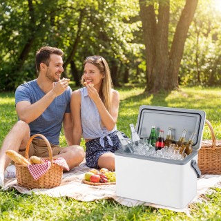 Costway Φορητό Ισοθερμικό Ψυγείο Σκληρού Κελύφους 12 L με Άνετη Λαβ...