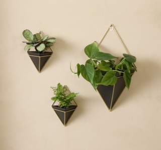 Κρεμαστές Γλάστρες Rosalie - Σετ 3 Τεμαχίων  8720604886887 Lifa-Living