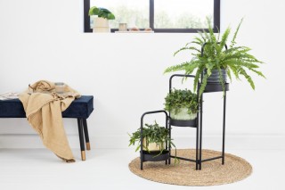 Ζαρντινιέρα Rose 3 Θέσεων- Μαύρο  8719743323254  Lifa-Living