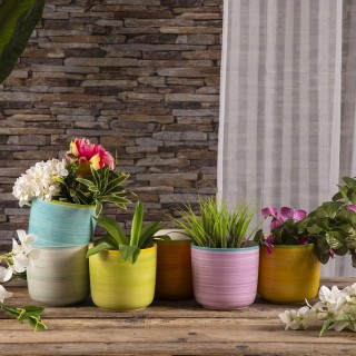 Galileo Σετ 6 τμχ Χειροποίητο κεραμικό βάζο 15 x 13,5 εκ. Sibilla 5...