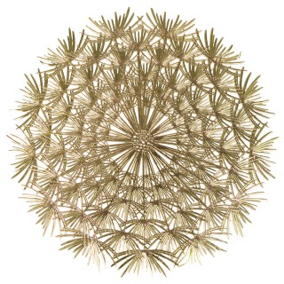 Villa dEste Home Σετ 6 τμχ Χρυσό Στρογγυλό Σουπλά 38 εκ. Σχέδιο Ανθ...