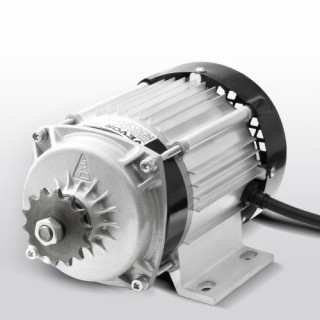 VEVOR Σετ Ηλεκτρικού Κινητήρα Χωρίς Ψήκτρες 750W 48V 2700rpm με Ανα...