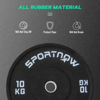 SPORTNOW Σετ 2 Δίσκοι Γυμναστηρίου 10 κιλών για Μπάρα και Αλτήρες μ...