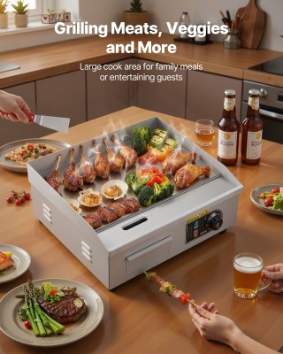 VEVOR Ηλεκτρική Επαγγελματική Πλάκα Ψησίματος 2800W, 450x300 mm, 50...