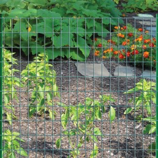 BAKAJI Ηλεκτροσυγκολλημένο Μεταλλικό Πλέγμα 1 x 25 μ. Μάτι 50x75mm... BAKAJI Ηλεκτροσυγκολλημένο Μεταλλικό Πλέγμα 1 x 25 μ. Μάτι 50x75mm...