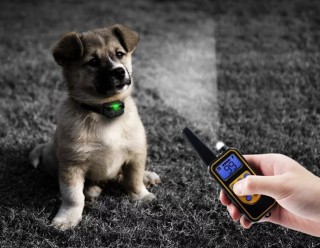 Ηλεκτρικό Κολάρο Εκπαίδευσης Σκύλου με Τηλεχειριστήριο 800m 5907451... Ηλεκτρικό Κολάρο Εκπαίδευσης Σκύλου με Τηλεχειριστήριο 800m 5907451...