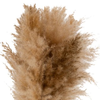 Atmosphera Ανθοσύνθεση με Λευκό Κεραμικό Βάζο Glen Ύψους 42εκ 206532 Atmosphera Ανθοσύνθεση με Λευκό Κεραμικό Βάζο Glen Ύψους 42εκ 206532