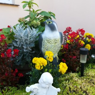 Απωθητικό Πτηνών Ομοίωμα Γερακιού 17,5 x 17,5 x 40 cm 23421 Repest Απωθητικό Πτηνών Ομοίωμα Γερακιού 17,5 x 17,5 x 40 cm 23421 Repest