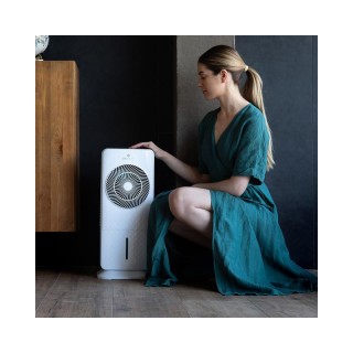 Φορητό Κλιματιστικό Air Cooler 65 W με Τηλεχειριστήριο Cecotec Ener...