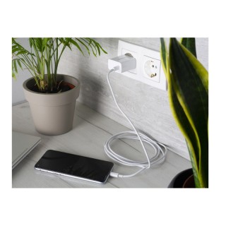 Φορτιστής Πρίζας Γρήγορης Φόρτισης USB TYPE-C 20 W Technaxx TX-196 Φορτιστής Πρίζας Γρήγορης Φόρτισης USB TYPE-C 20 W Technaxx TX-196