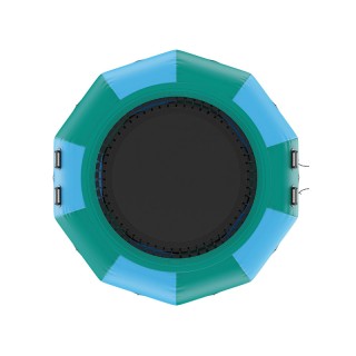 Φουσκωτό Τραμπολίνο Νερού 3100 mm 185 Kg VEVOR BTKSSBCLLS10T79VOV2 Φουσκωτό Τραμπολίνο Νερού 3100 mm 185 Kg VEVOR BTKSSBCLLS10T79VOV2