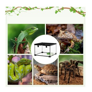 Γυάλινο Ενυδρείο για Ερπετά Terrarium 30 x 30 x 20 cm PawHut D40-015