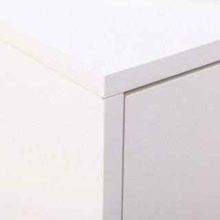 HOMCOM Μοντέρνα ντουλάπα παπουτσιών για 12 ζευγάρια παπούτσια με 2 ...