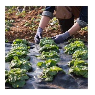 Ύφασμα Εδαφοκάλυψης Πολυπροπυλενίου Βαρέως Τύπου 100 g/m² 1 x 50 m ... Ύφασμα Εδαφοκάλυψης Πολυπροπυλενίου Βαρέως Τύπου 100 g/m² 1 x 50 m ...