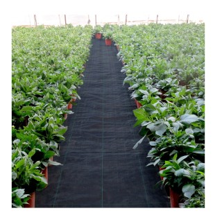 Ύφασμα Εδαφοκάλυψης Πολυπροπυλενίου Βαρέως Τύπου 80&nbsp;g/m² 1.8 x...