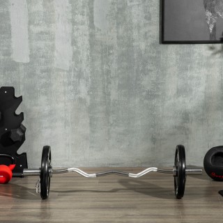 SPORTNOW Σετ 2 δίσκων βάρους 15 κιλών από ατσάλι με επίστρωση καουτ... SPORTNOW Σετ 2 δίσκων βάρους 15 κιλών από ατσάλι με επίστρωση καουτ...