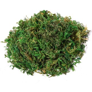 Outsunny Τεχνητό Banyan Tree, ψεύτικο φυτό εσωτερικού και εξωτερικο... Outsunny Τεχνητό Banyan Tree, ψεύτικο φυτό εσωτερικού και εξωτερικο...