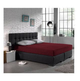 King Size Σεντόνι Jersey με Λάστιχο 190 x 200 x 30 cm Χρώματος Μπορ... King Size Σεντόνι Jersey με Λάστιχο 190 x 200 x 30 cm Χρώματος Μπορ...